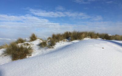 Christmas In North Devon