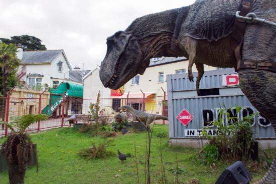 A Family Day Out - Combe Martin Wildlife and Dinosaur Park