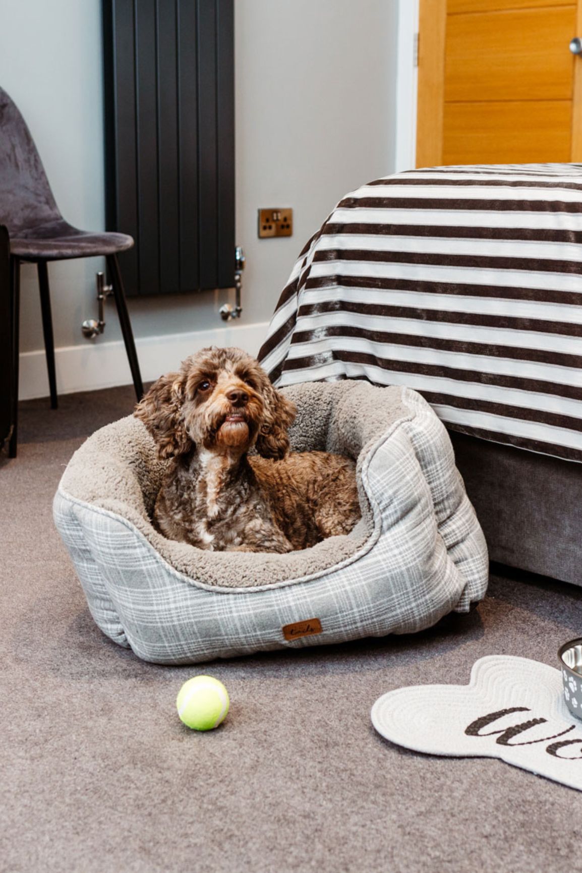 A dog in a dog bed in a hotel room in a dog-friendly hotel in North Devon