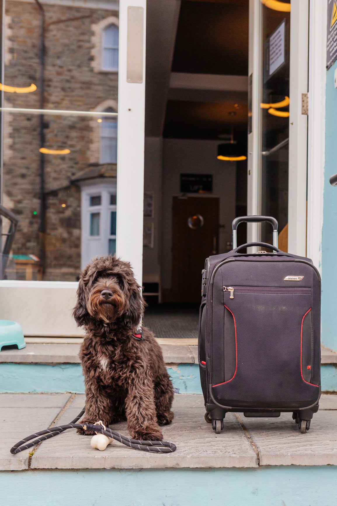 A dg and his suitcase outside a dog-friendly hotel in North Devon