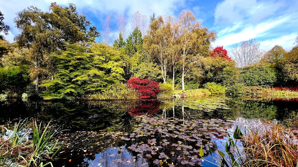 garden breaks in North Devon